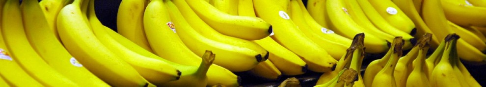 cropped-bananas1.jpg