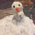 by Bruna Araujo and Jocelyn Ponce   Snow in Florida Have you ever seen snow in Florida? Well, now you will! For that you will need very few materials: 1 […]