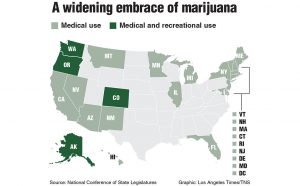 HALF MEASURES. Florida has yet to catch up to other progressive states on marijuana policy. 