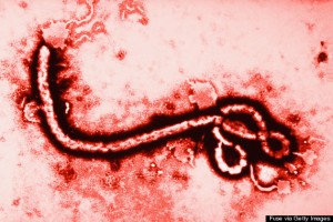 ebola image