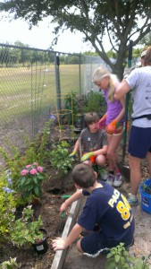 Planting our butterfly plants