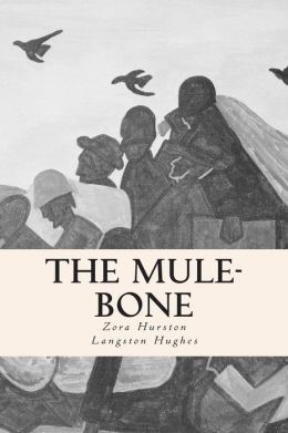 summary of the mule bone